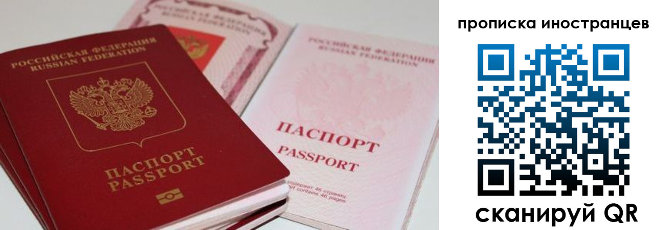 прописка поиск в Калуге
